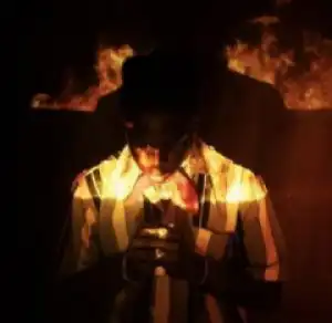 Rema - This Fame